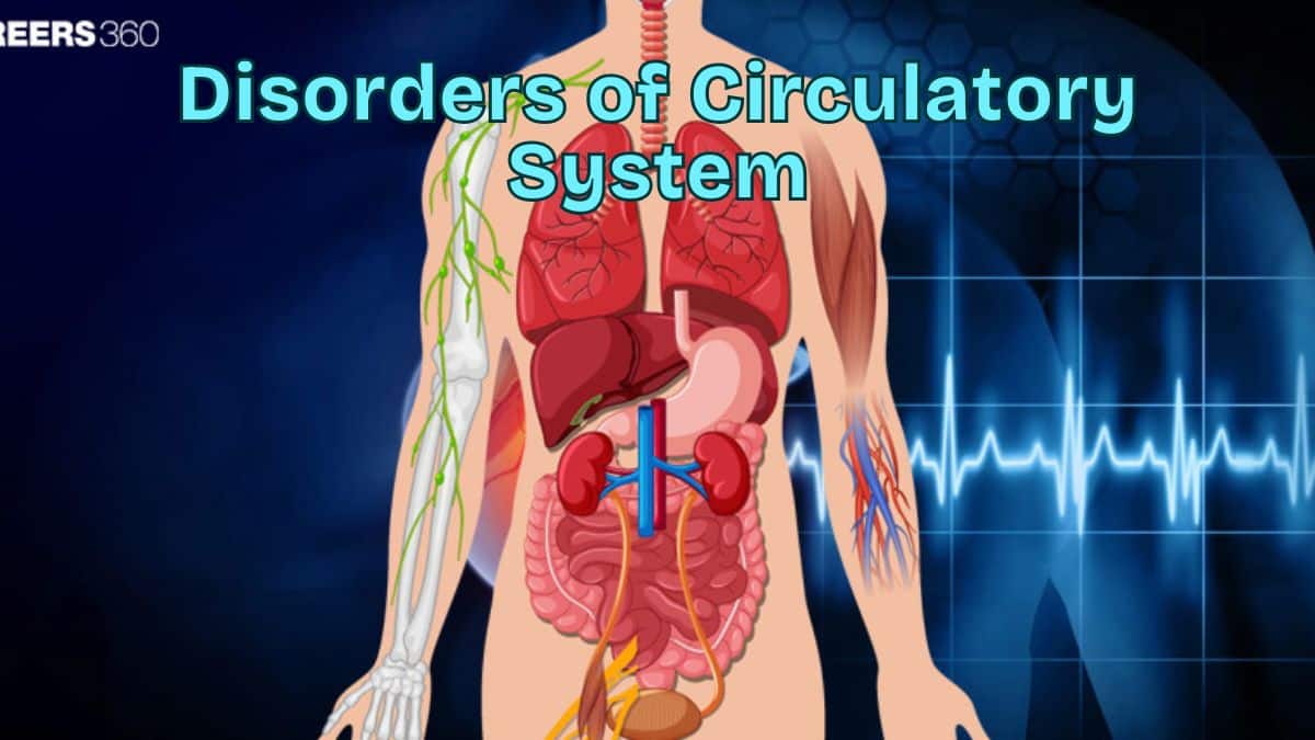 Disorders Of Circulatory System: Symptoms And Risk Factors